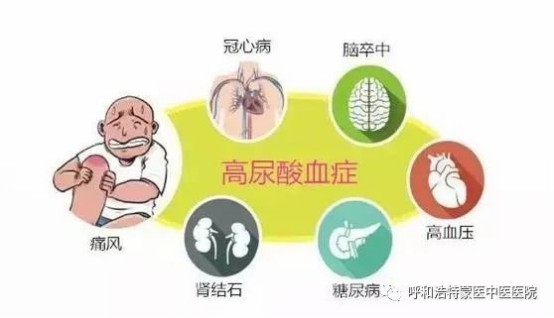 1681784669790063.jpg 640 (24).jpg