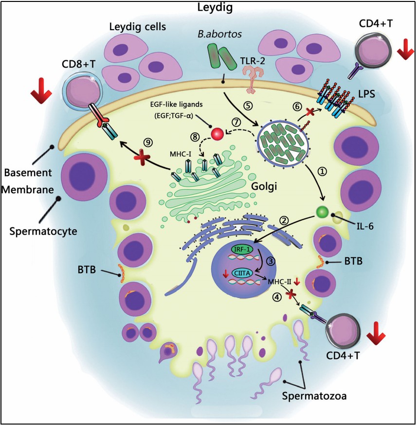 1685411625118079.jpg 222.jpg