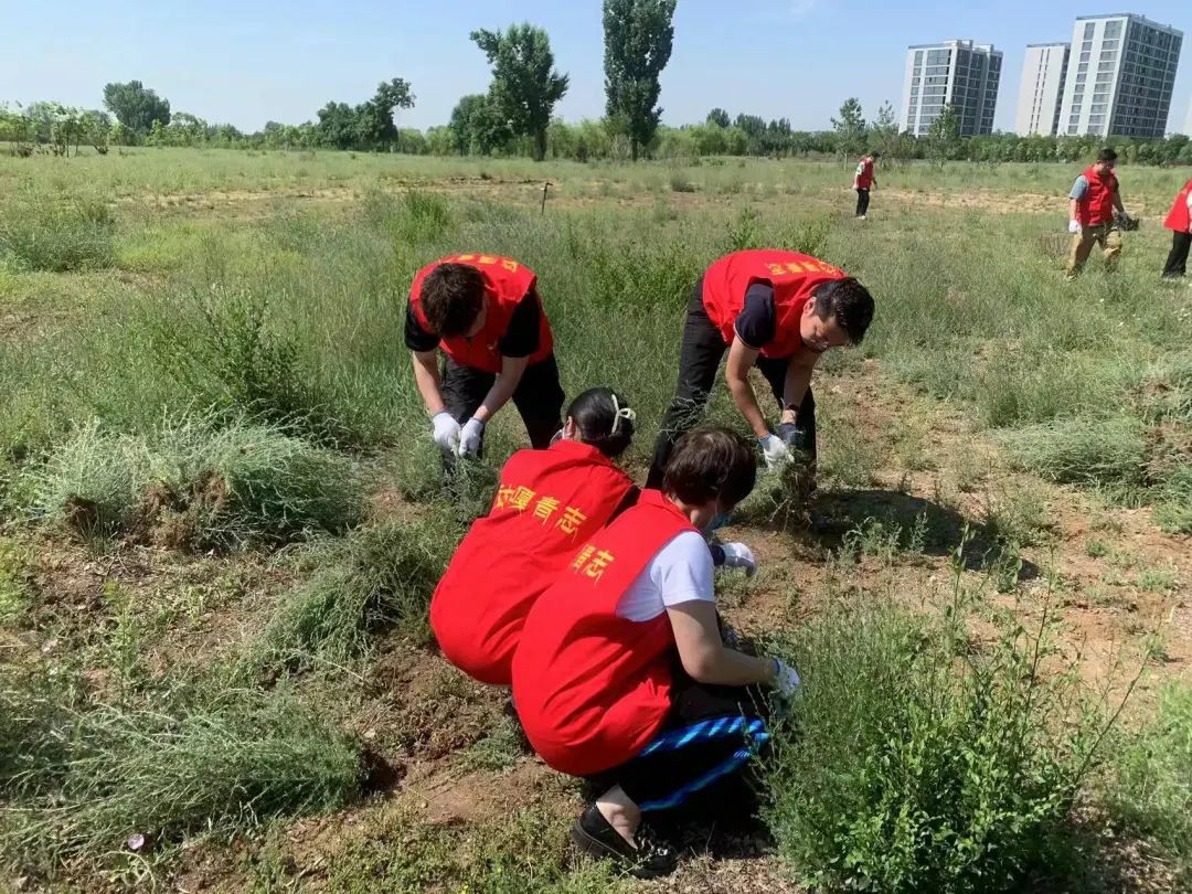 1688002765634503.jpg 640 (12)~1.jpg